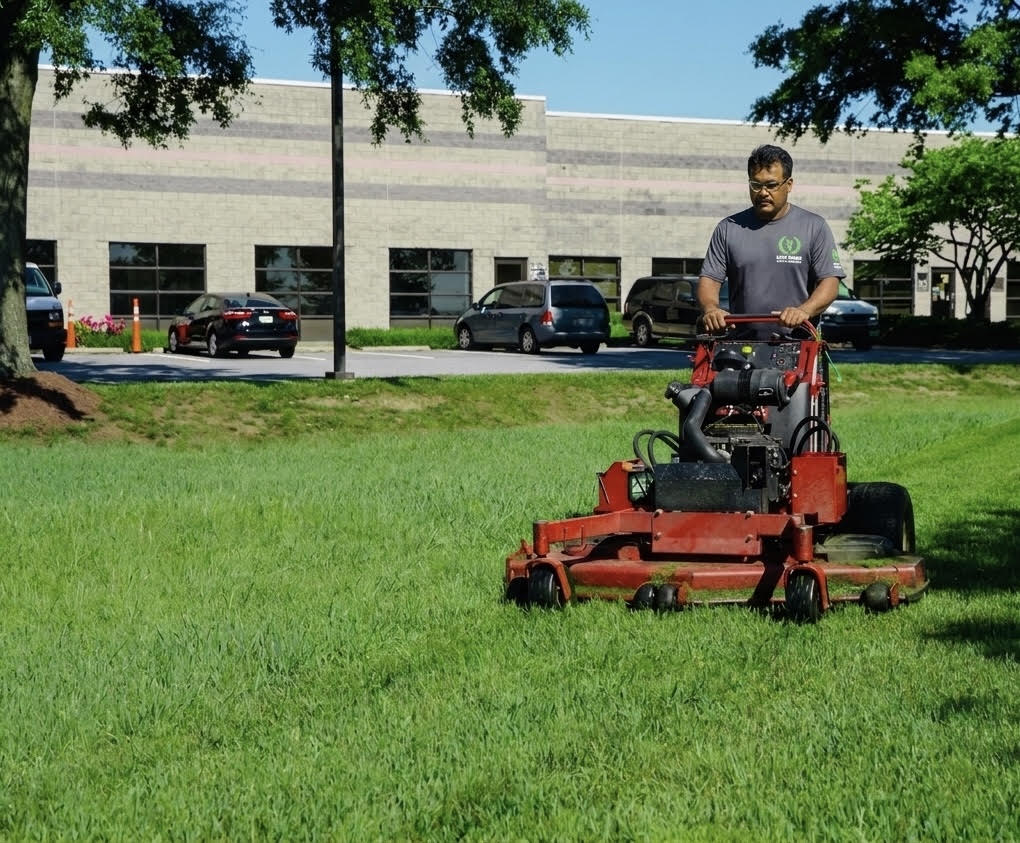 Lawn Maintenance